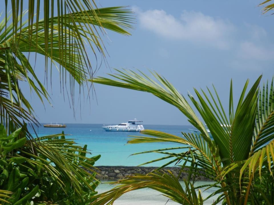 Haruge Restaurant Kuramathi Maldives