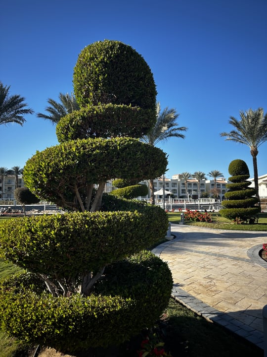Gartenanlage Pickalbatros Dana Beach Resort - Hurghada