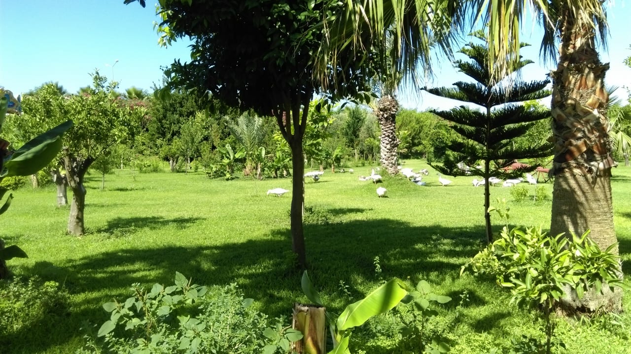 Gartenanlage Vita Silva Hotel