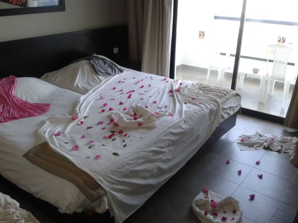 Blüten zur Begrüßung Nozha Beach Resort & Spa