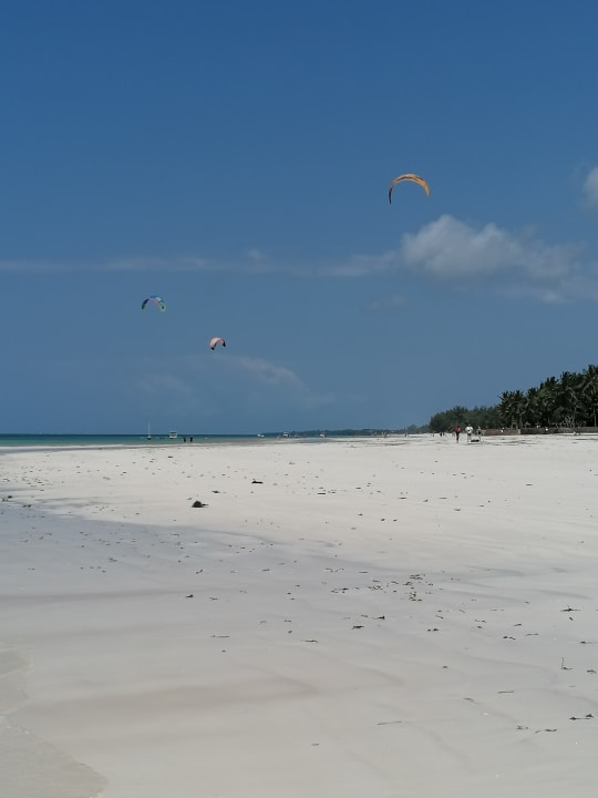 Ausblick Neptune Paradise Beach Resort & Spa