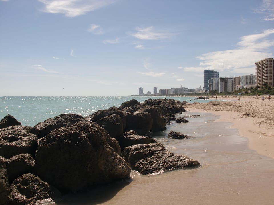 Hotel Strand The Palms Hotel & Spa