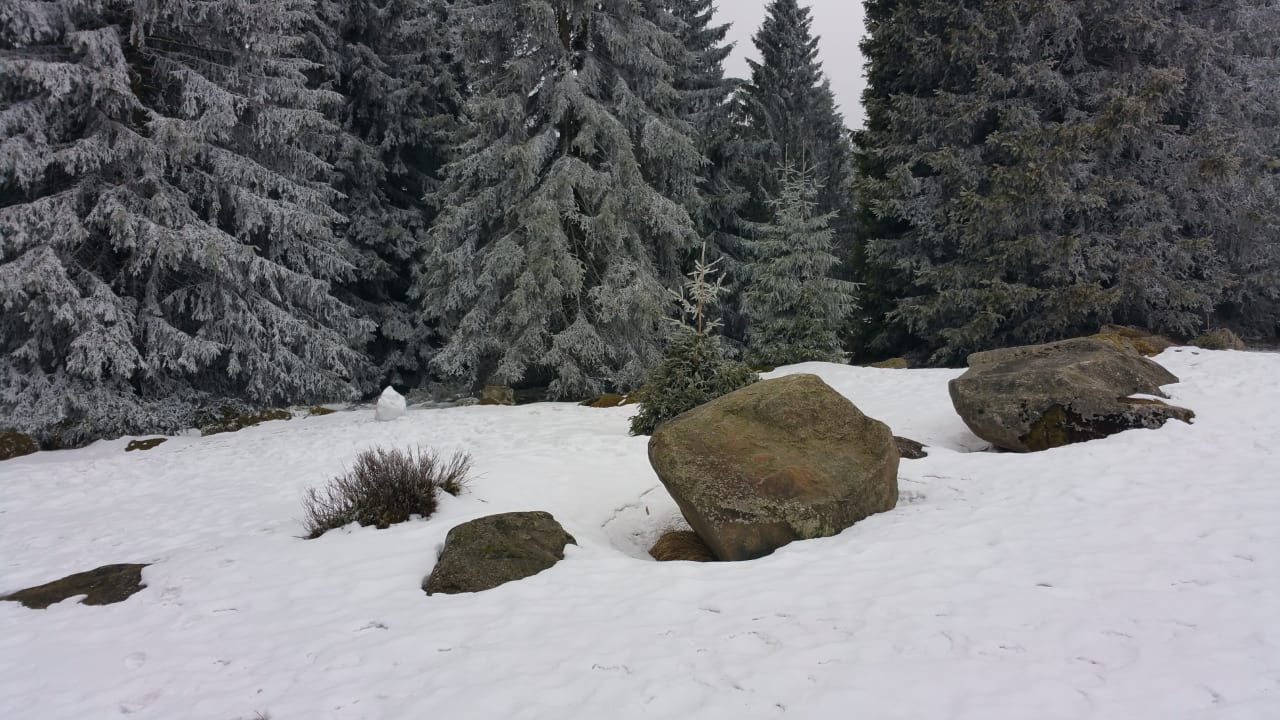 Direkt an dem Hotel Torfhaus Harzresort