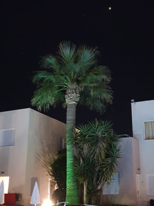 Gartenanlage Hotel Meropi