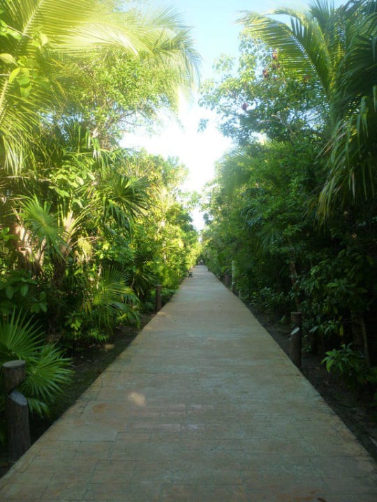 Weg von der Lobby Catalonia Playa Maroma