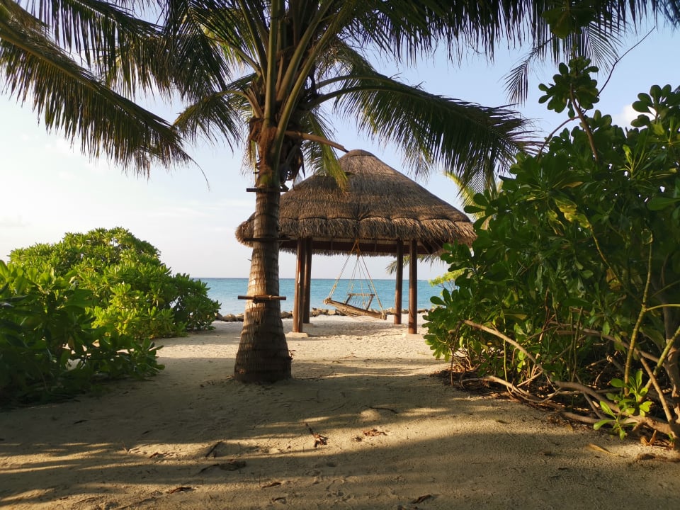 Strand Summer Island Maldives
