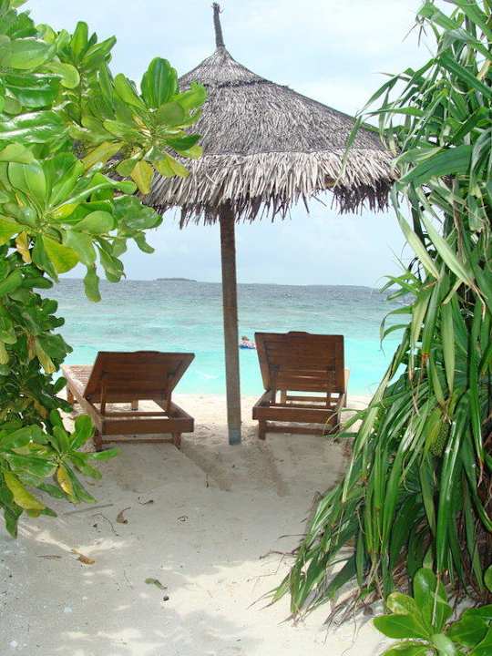 Liegestühle vor Deluxebungi Nr. 144 NH Collection Maldives Reethi Resort