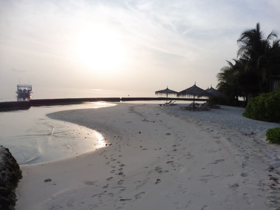 Strand Gangehi Island Resort