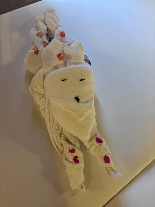 Zimmer Jaz Makadi Oasis Resort