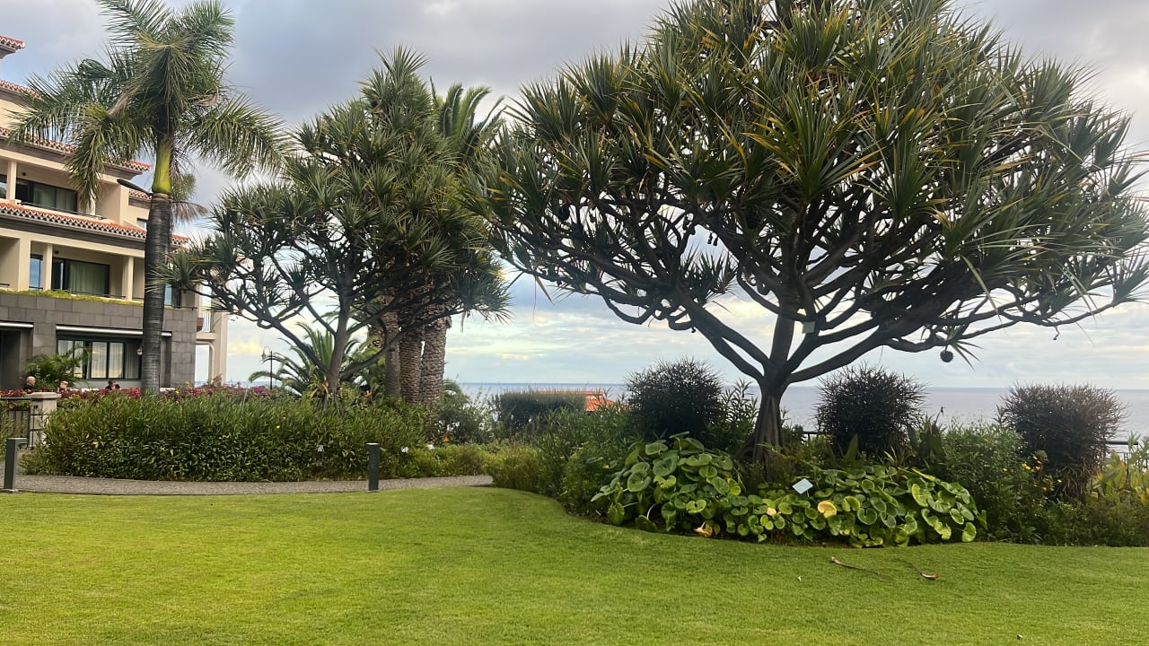 Gartenanlage Hotel The Cliff Bay (PortoBay)