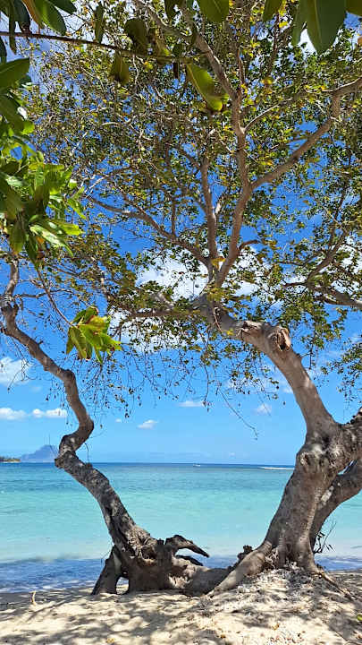 Strand Sands Suites Resort & Spa