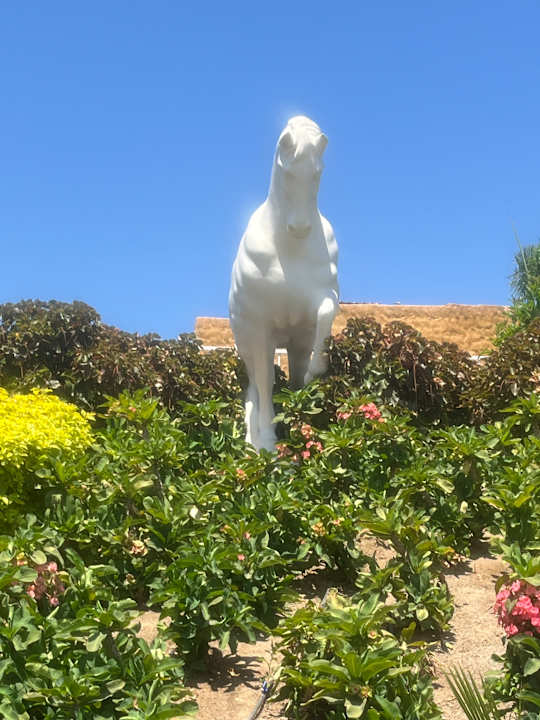 Gartenanlage Pickalbatros Vita Resort - Portofino Marsa Alam