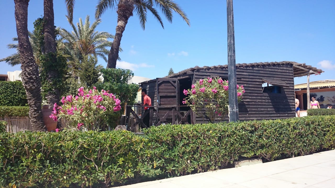 Blüten im Juni Djerba Sun Beach Hotel & Spa