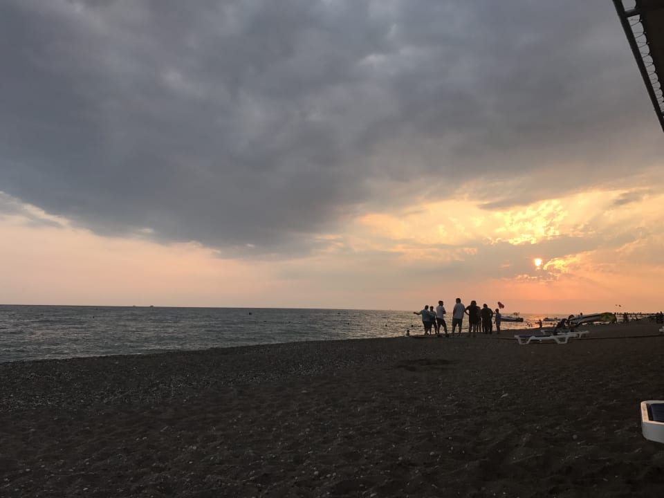 Strand TUI BLUE Palm Garden