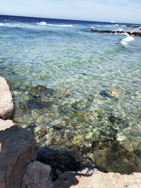 Strand Pickalbatros Citadel Resort