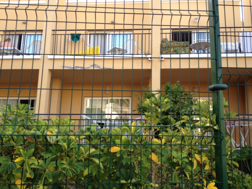 Muss man sich das freiwillig für viel Geld antun? Los Olivos Beach Resort