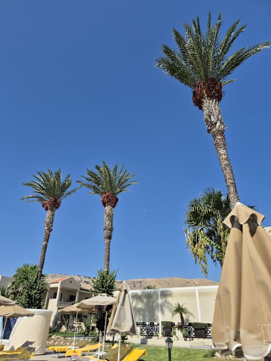 Sonstiges Lindos Princess Beach Resort & Spa