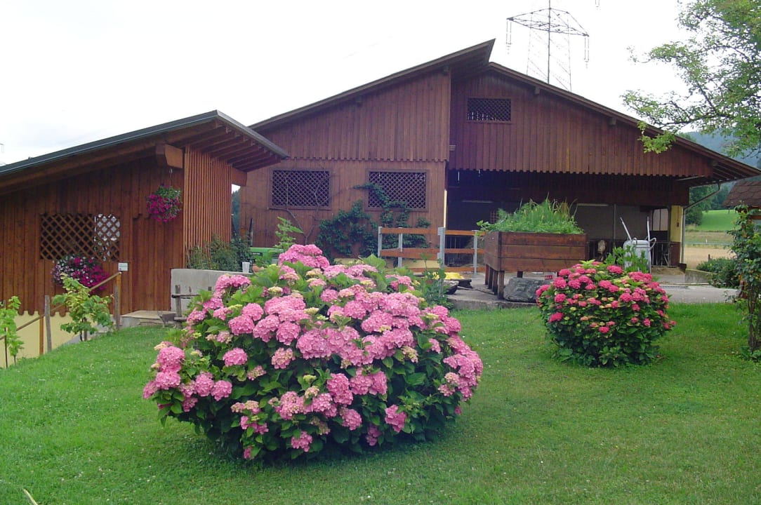 Blumen am Malehof Bauernhof Malehof