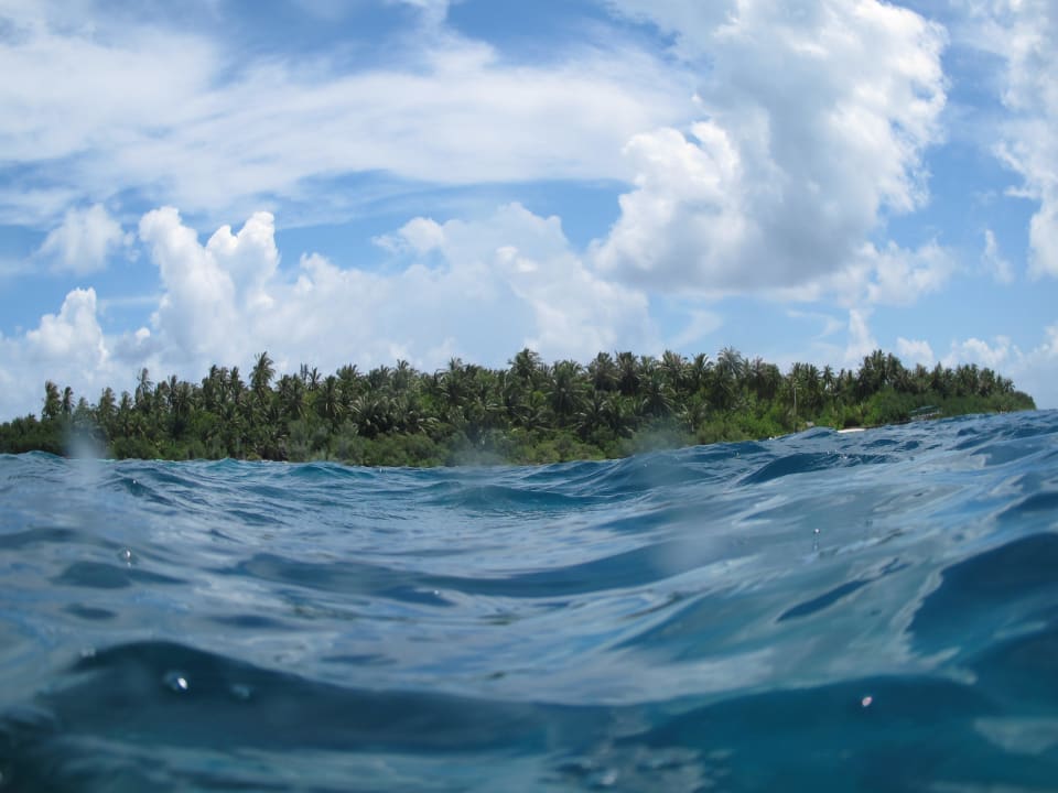 Embudu beim Schnorcheln fotografiert Embudu Village
