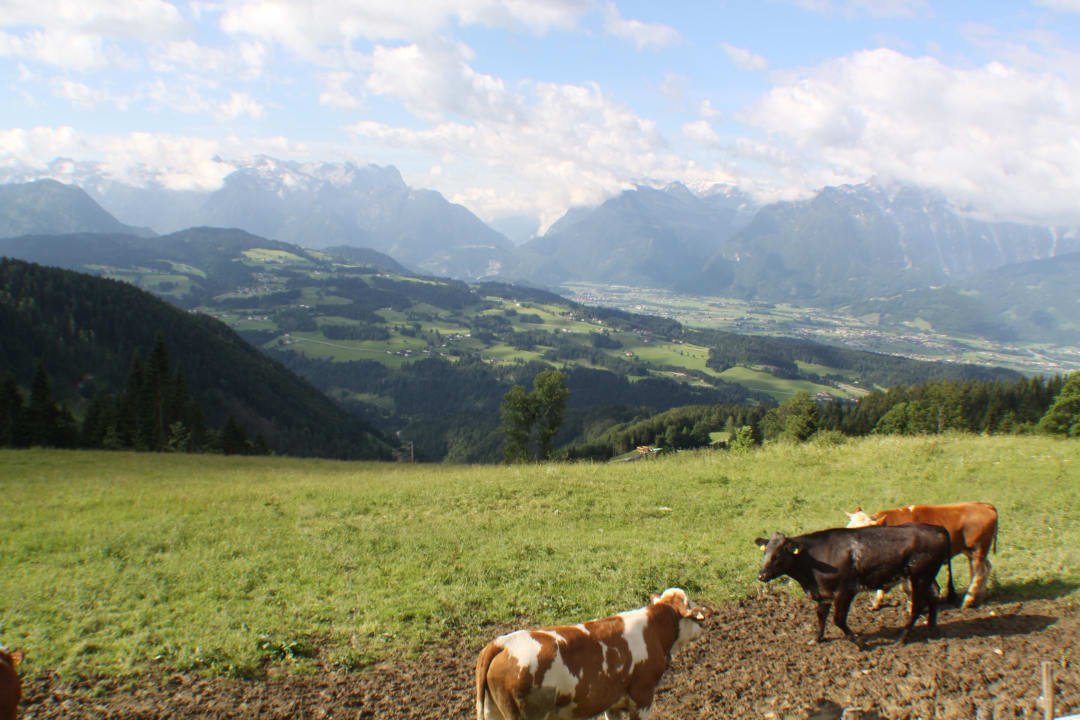 Auf der Alm der Familie Brunnauer Lacknerhof