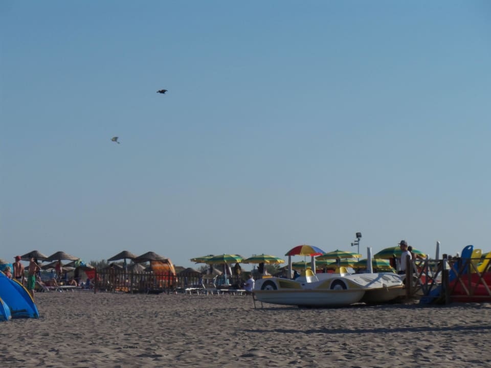 Anlage Villaggio Turistico Rosapineta Sud
