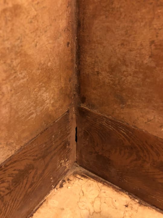 Zimmer Pickalbatros Citadel Resort