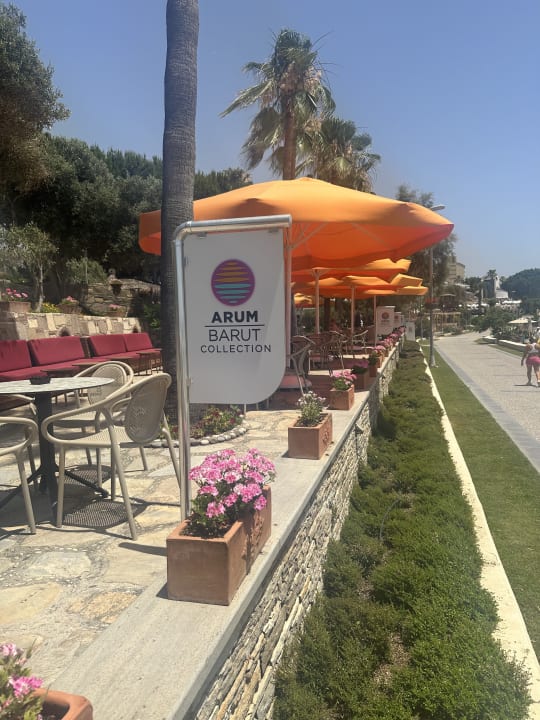 Strand Arum Barut Collection