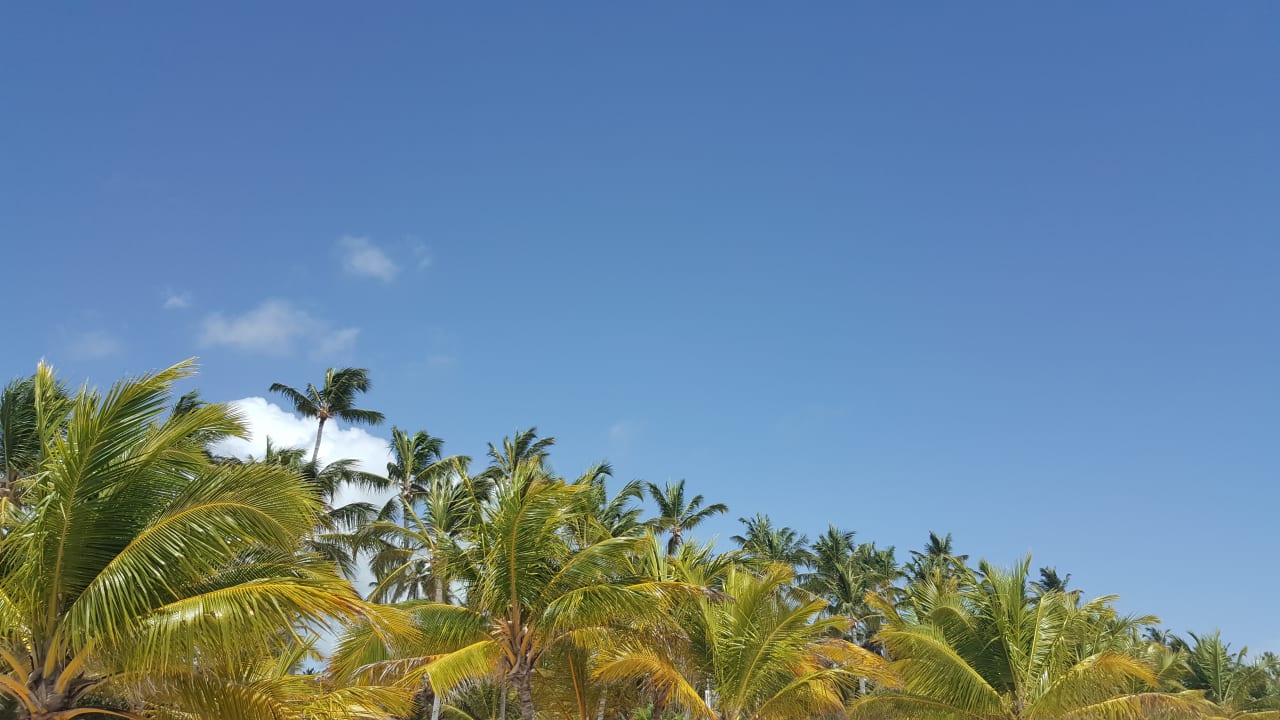 Gartenanlage Villas Bavaro Resort & Spa