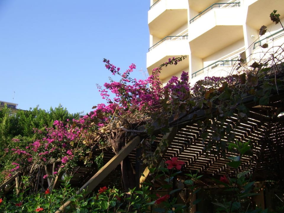 C - Block Aska Hotel Just in Beach