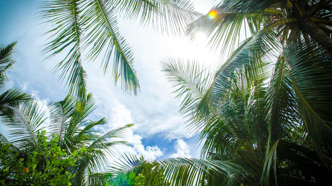 Ausblick NH Collection Maldives Reethi Resort