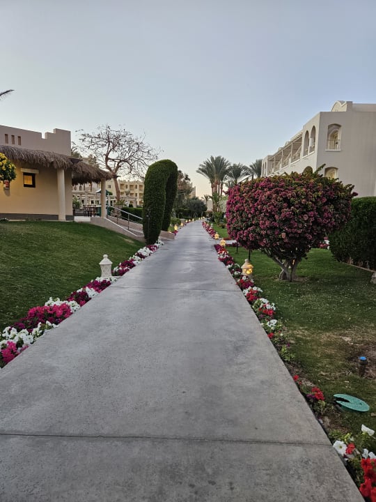Außenansicht Hotel JAZ Makadi Star & Spa