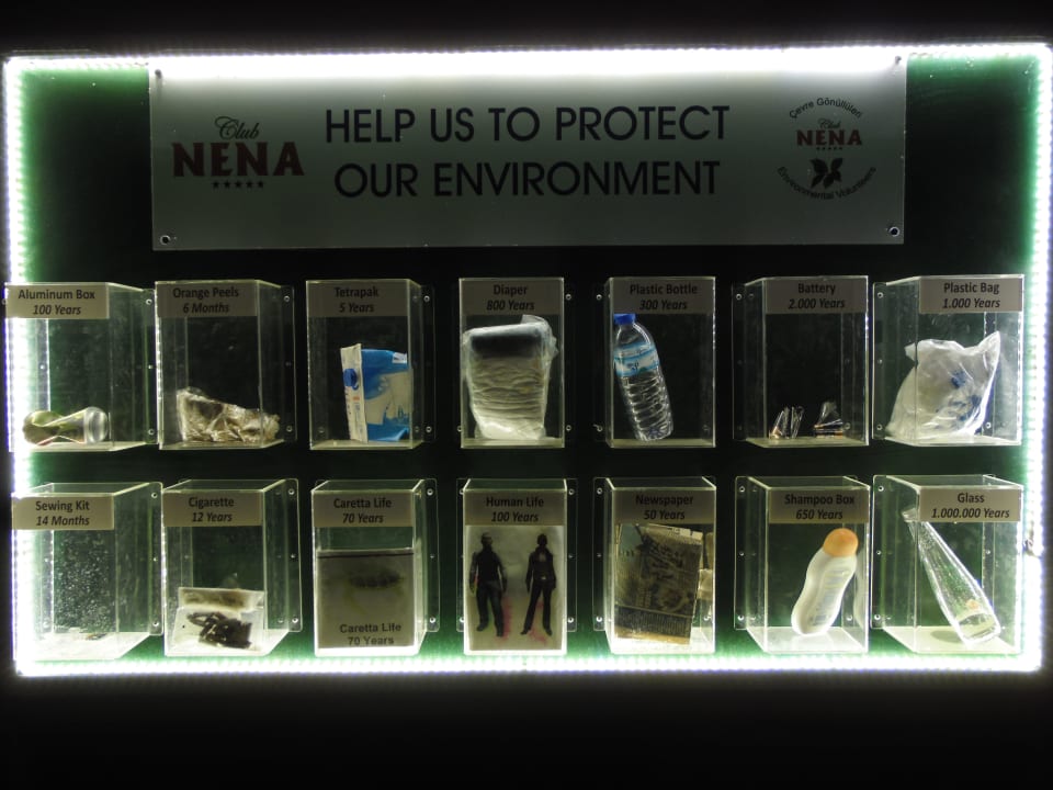 Verrottungsvitrine Hotel Club Nena