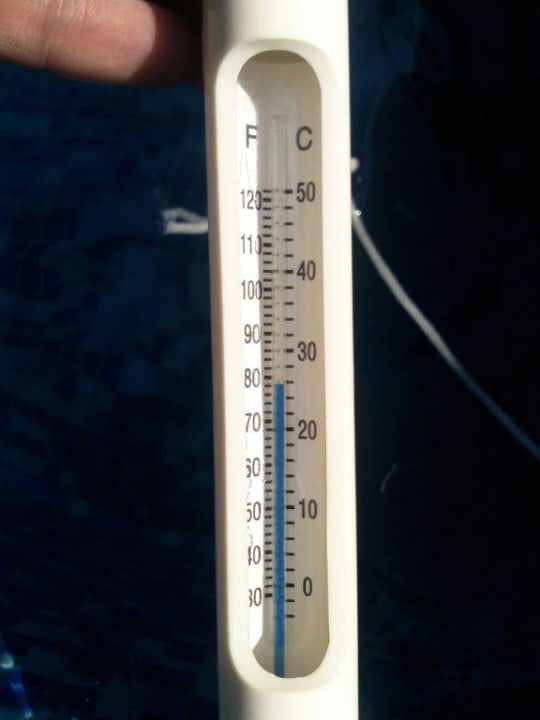 Wassertemperatur Hotel Lion Sunny Beach