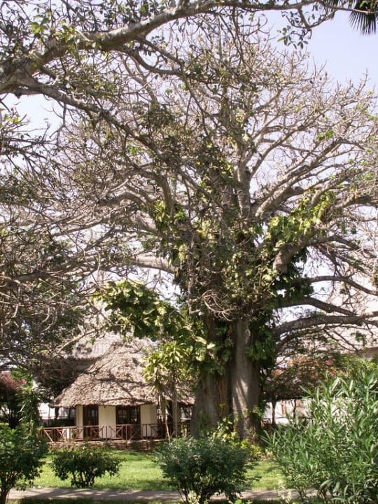 Baobab Neptune Village Beach Resort & Spa