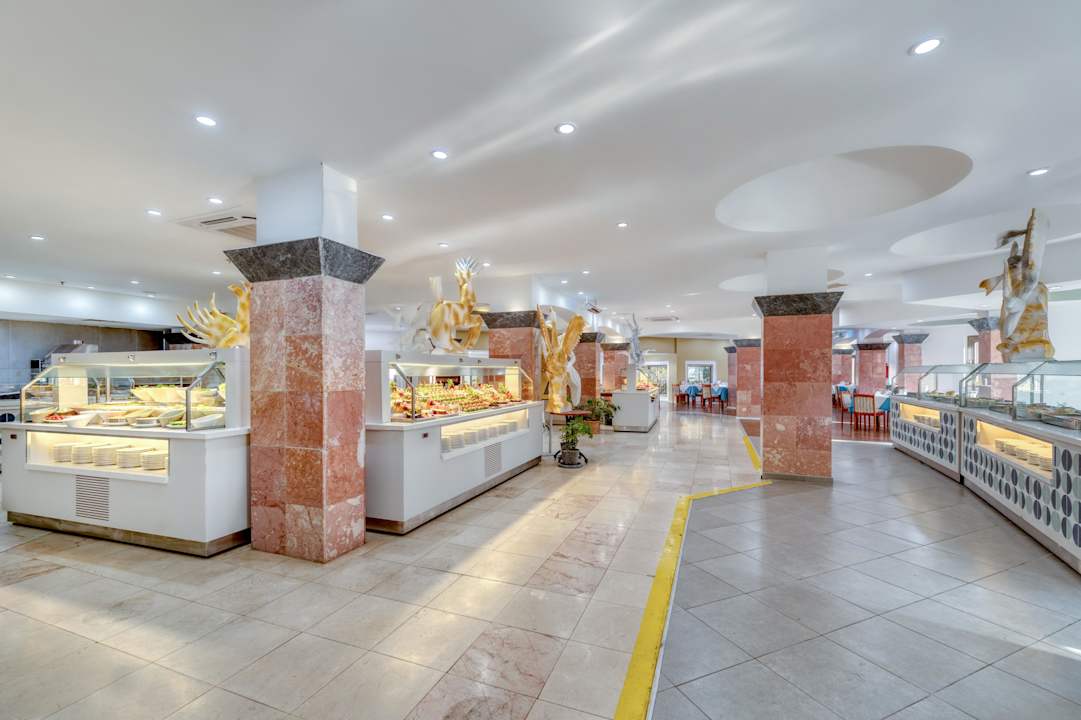 Gastro Asteria Collection Side
