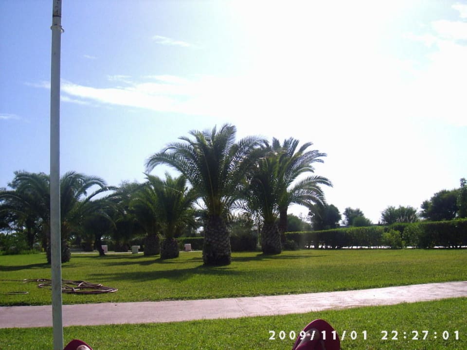 Garten AQI Venus Beach