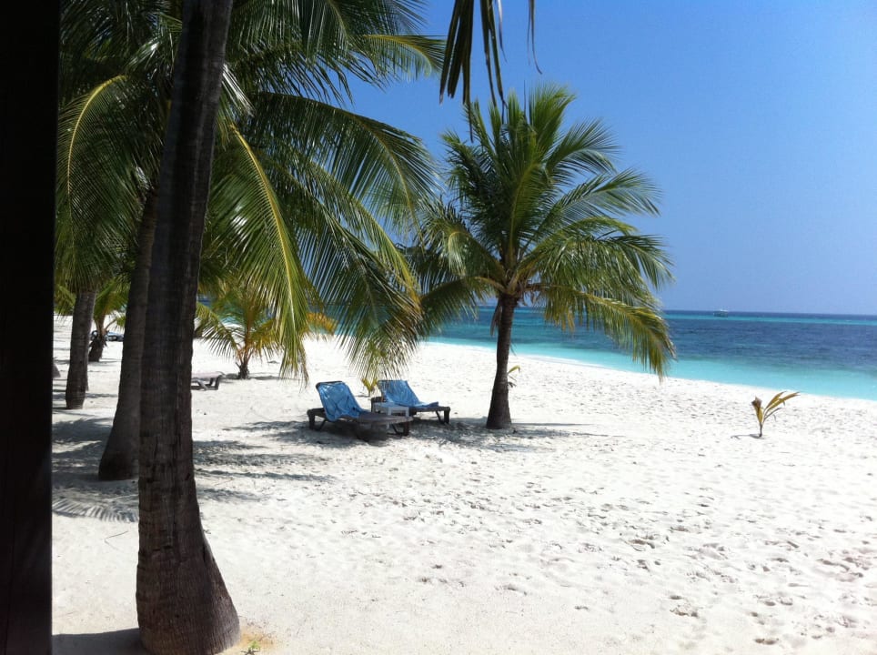 Immer schön im Schatten bleiben Kuredu Island Resort & Spa