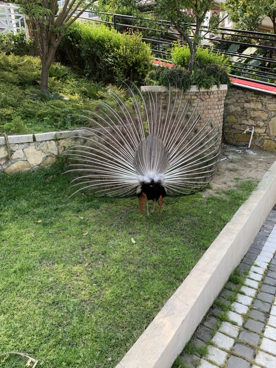 Sonstiges Seaden Corolla Hotel