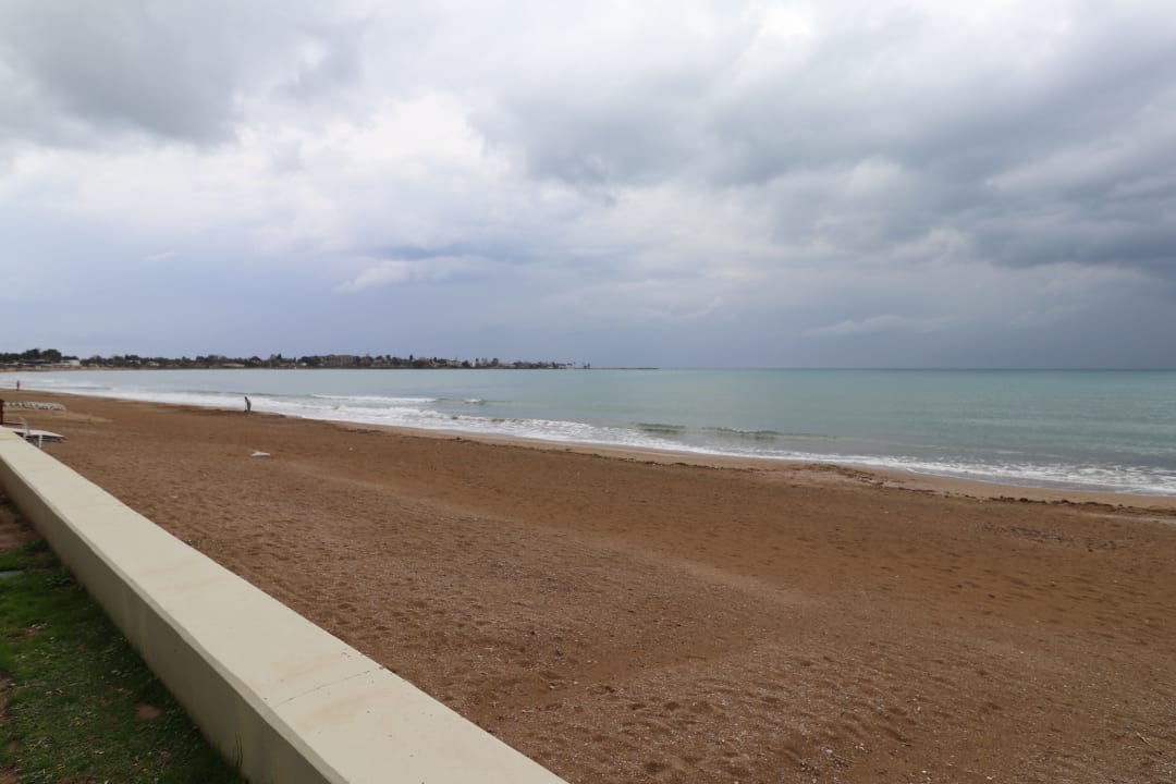 Strand Acanthus Cennet Barut Collection