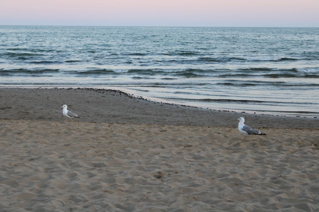 Strand Hotel Cavallino Bianco