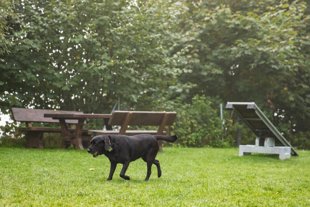 Sport & Freizeit Hotel Bergfried