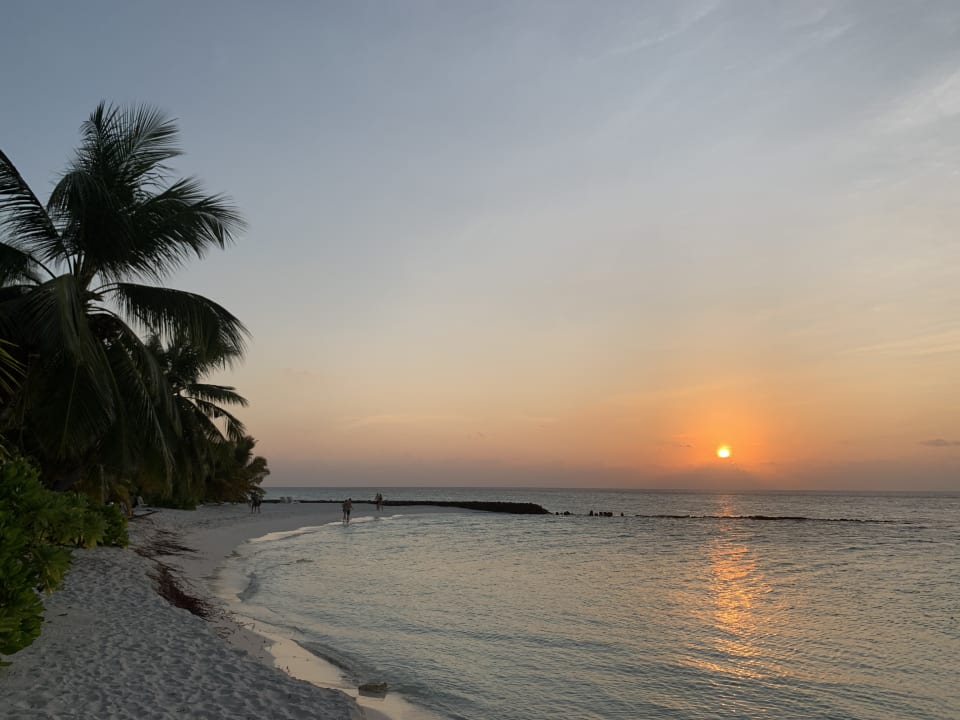 Strand Summer Island Maldives