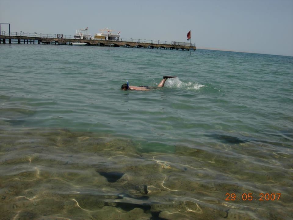 Plaża hotelowa Desert Rose