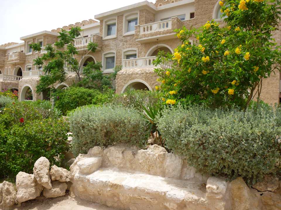 Vacance 2015 Pickalbatros Citadel Resort