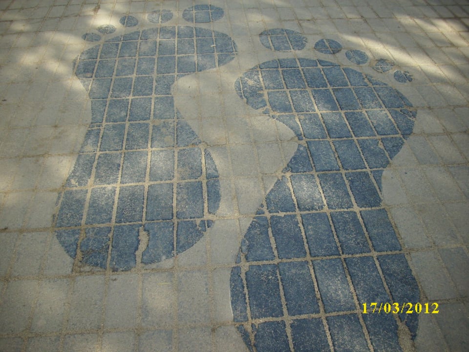 Wie der Name sagt Earl’s Reef Beruwala