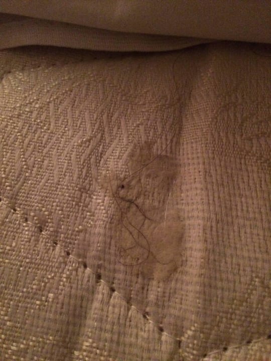 Matratze mit Fleck und Haaren  Hotel Bohemi