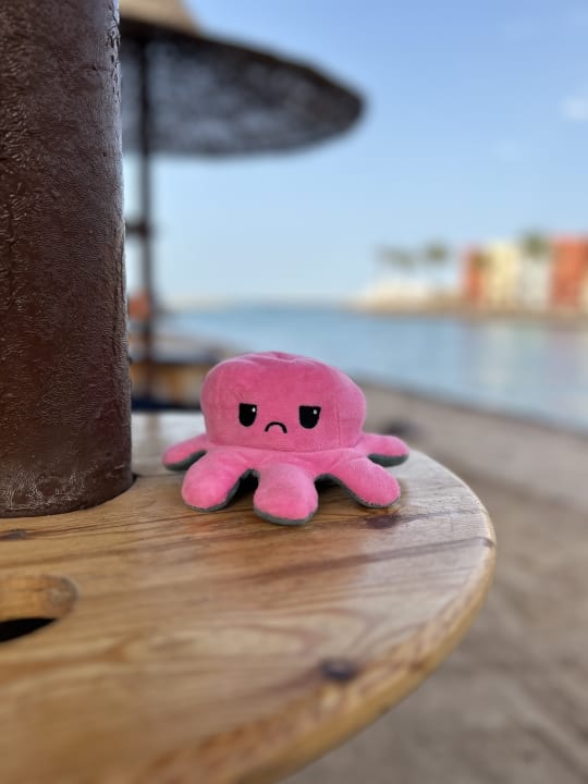 Außenansicht Arabia Azur Resort