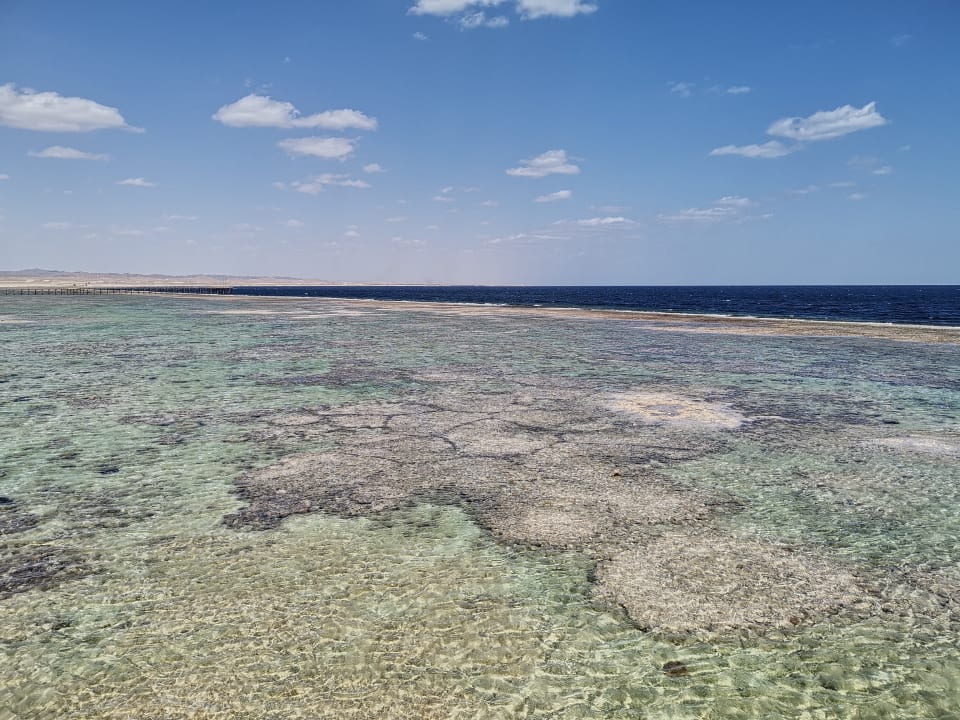 Strand Pickalbatros Sea World Resort - Marsa Alam