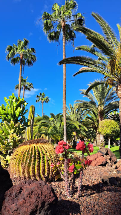 Gartenanlage Hotel Riu Gran Canaria