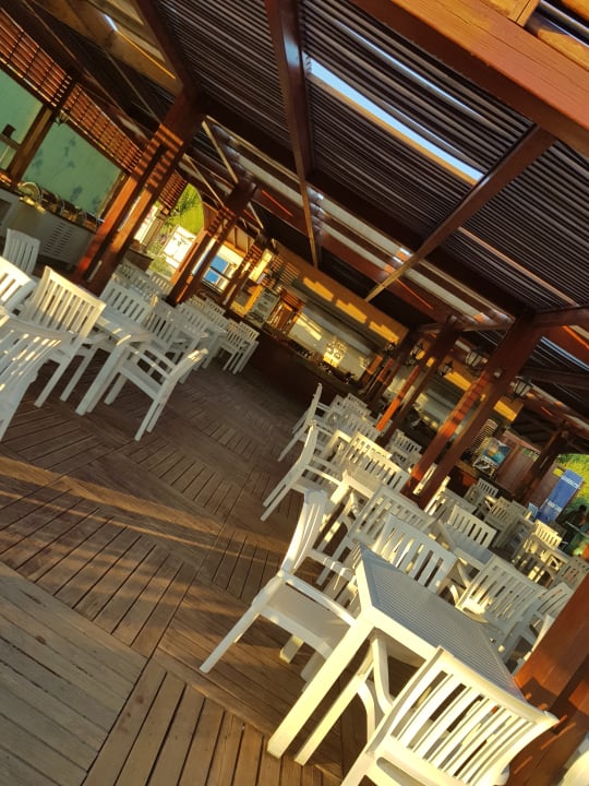 Gastro Well Palace Side